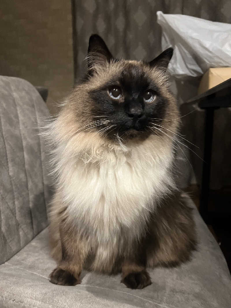 まっちゃんさんのむろらん温泉ゆららのサ活写真