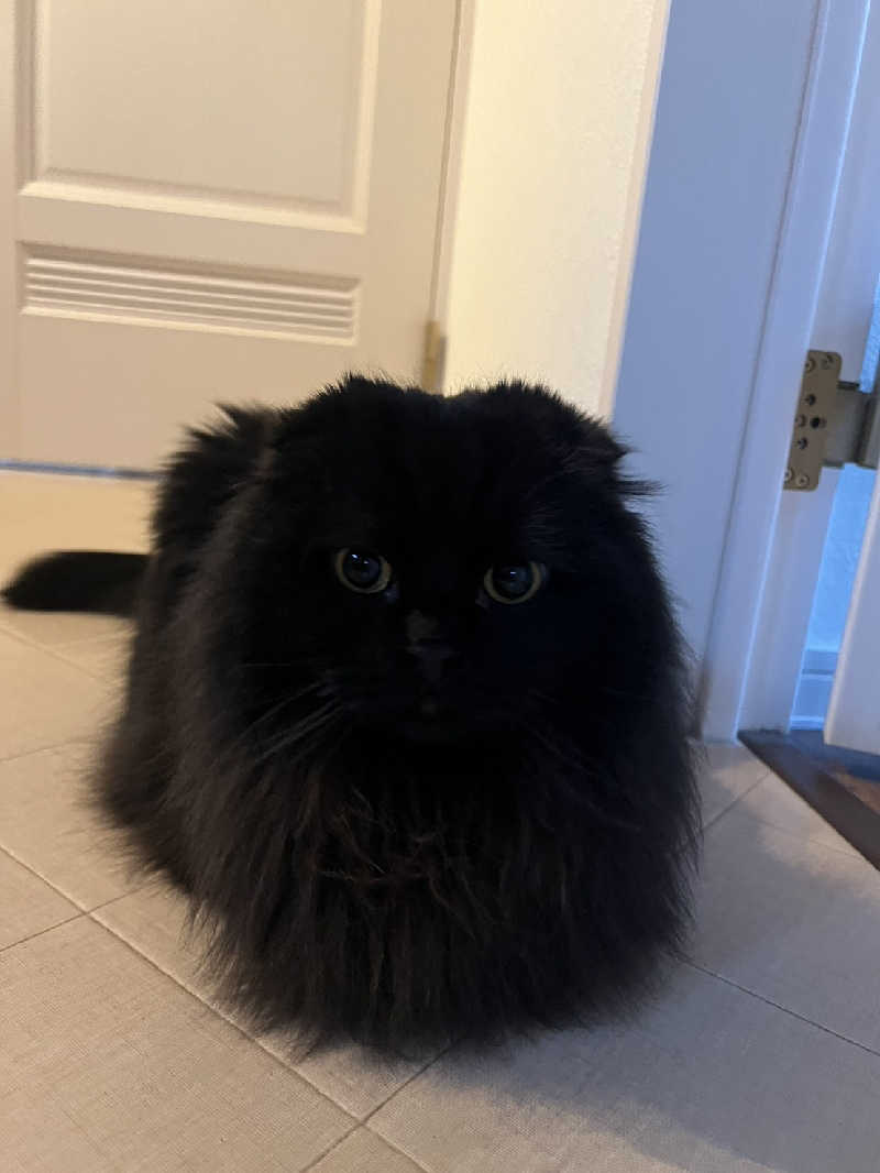 まっちゃんさんのむろらん温泉ゆららのサ活写真