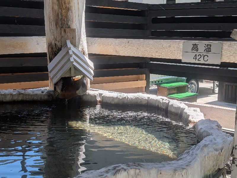 こてこたさんの湯宿だいいちのサ活写真