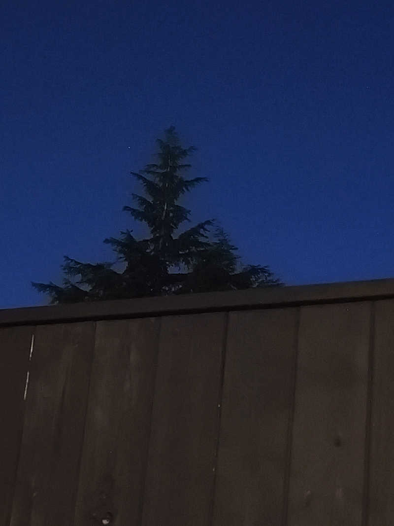 みよしさんの美しの湯のサ活写真