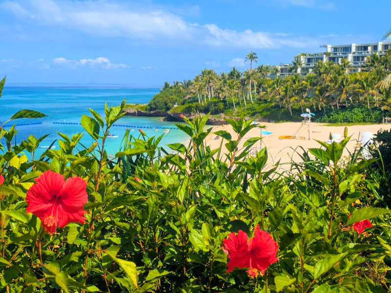 えどっこサウナーさんのホテルムーンビーチのサ活写真