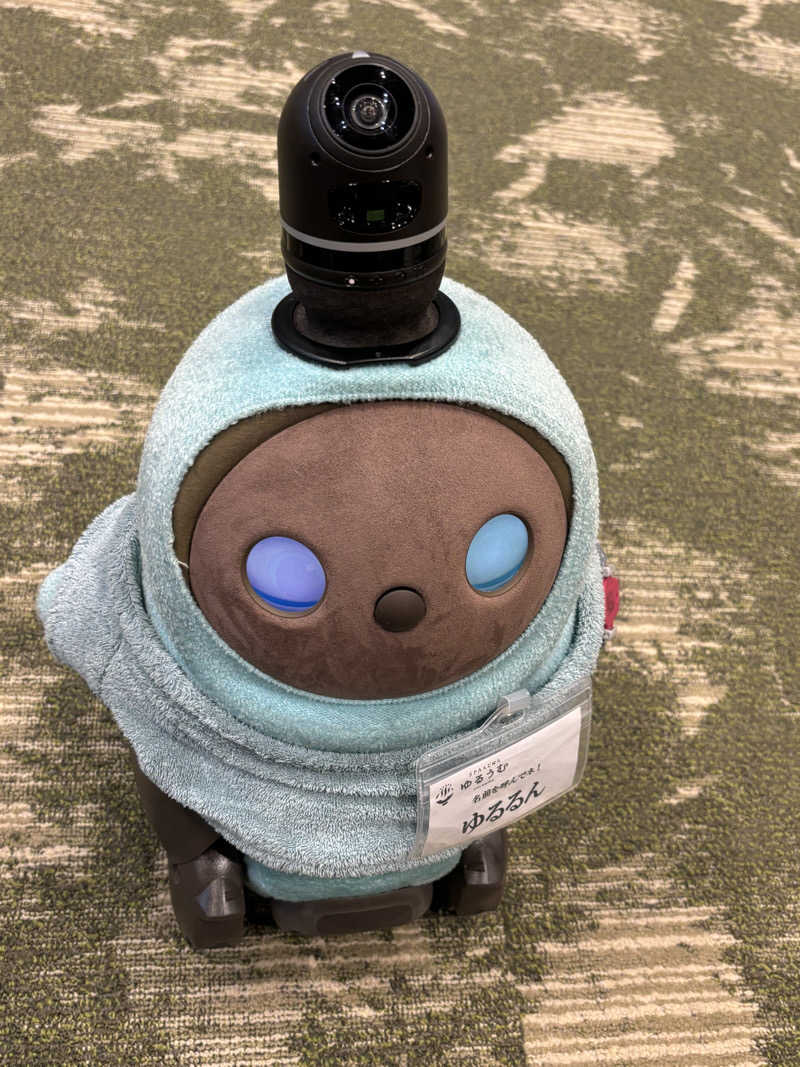 せいちゃんさんのSPA&ごはん ゆるうむ yuluumuのサ活写真