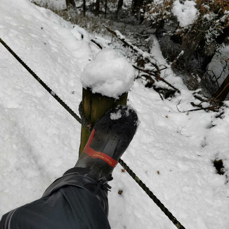 うばばさんのカンデオホテルズ奈良橿原のサ活写真