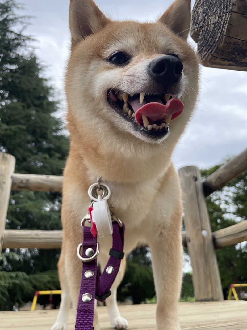 もこせさんのサウナヘヴン草加のサ活写真