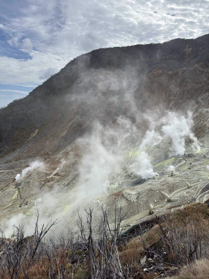SS5さんの箱根湯本温泉ホテル河鹿荘のサ活写真