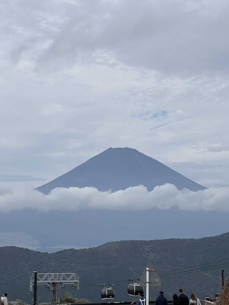 SS5さんの箱根湯本温泉ホテル河鹿荘のサ活写真