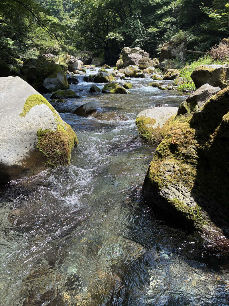 WATARUさんのFUJIYAMA 泉の森CAMPING FIELDのサ活写真