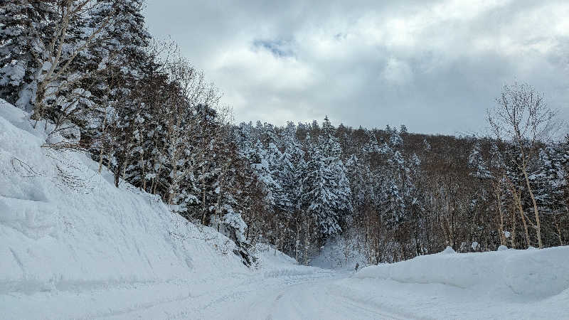 saunabozu2.0さんの十勝岳温泉 凌雲閣のサ活写真