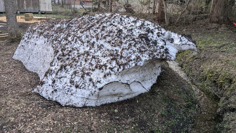 ボウズさんのThe Saunaのサ活写真