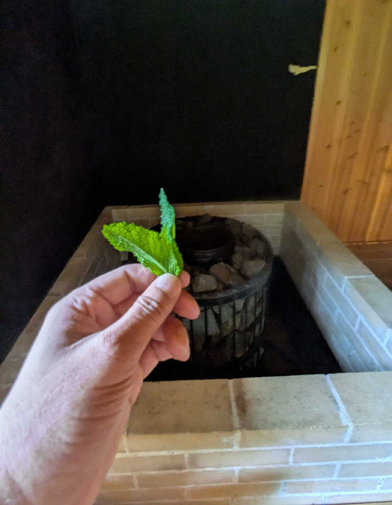 ボウズさんの山ノサウナ 廃校を貸切でのサ活写真