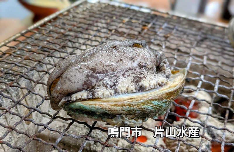 ボウズさんの神山温泉ホテル四季の里&いやしの湯のサ活写真