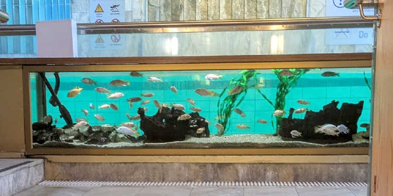 ボウズさんのHilton Helsinki Strandのサ活写真