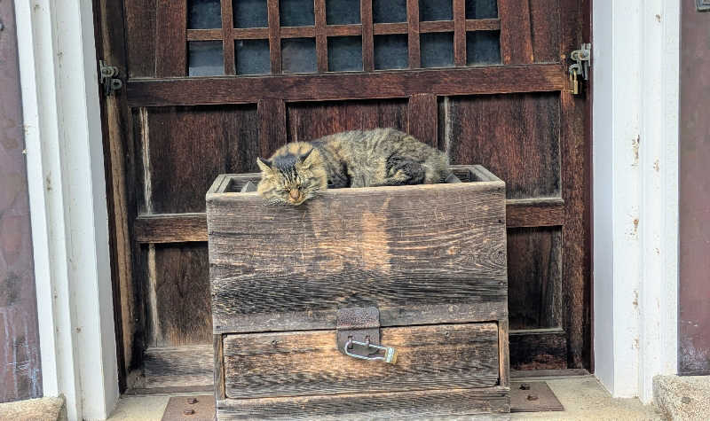 ボウズさんの成田空港温泉 空の湯のサ活写真