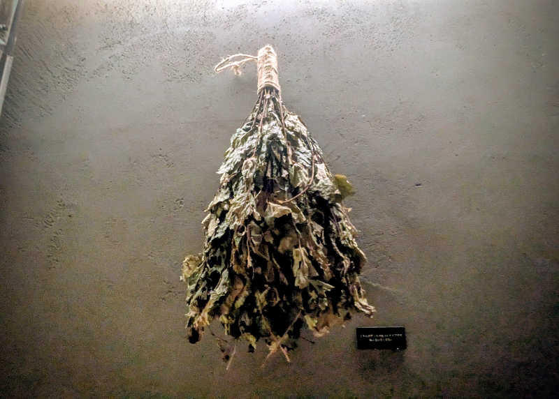 ボウズさんのSAUNA Pod 槃のサ活写真