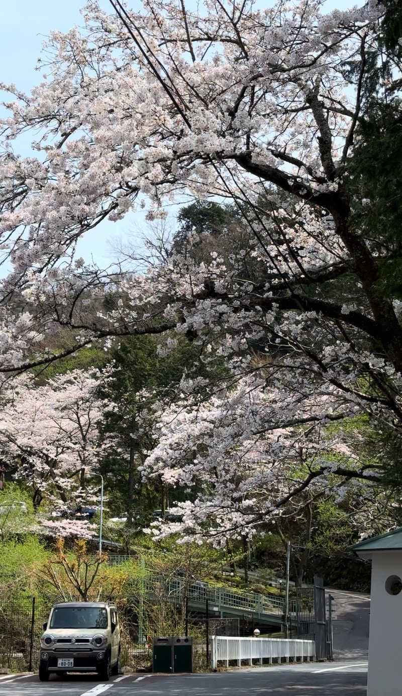🐜さんの天山湯治郷 ひがな湯治 天山のサ活写真
