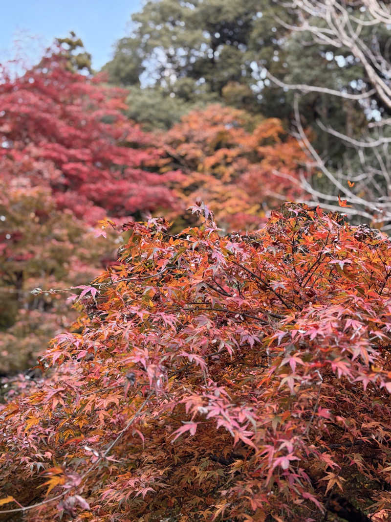 aohige3さんのグリーンパーク山東 美肌の湯 鴨池荘のサ活写真
