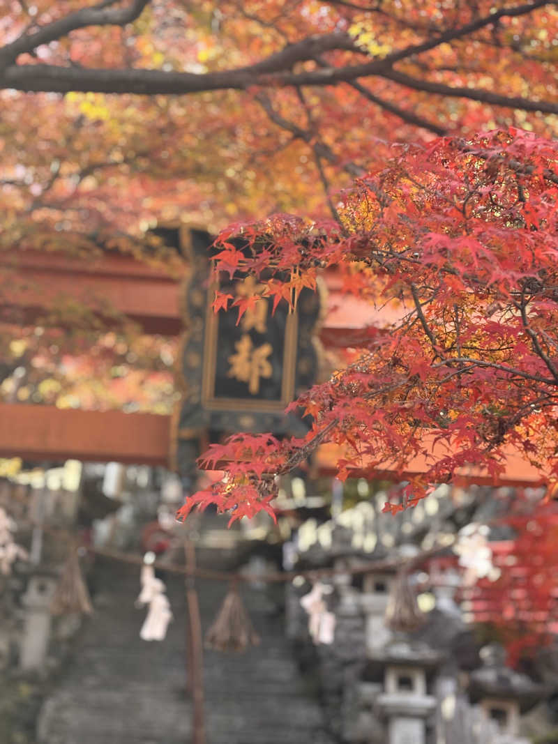 aohige3さんの極楽湯 彦根店のサ活写真