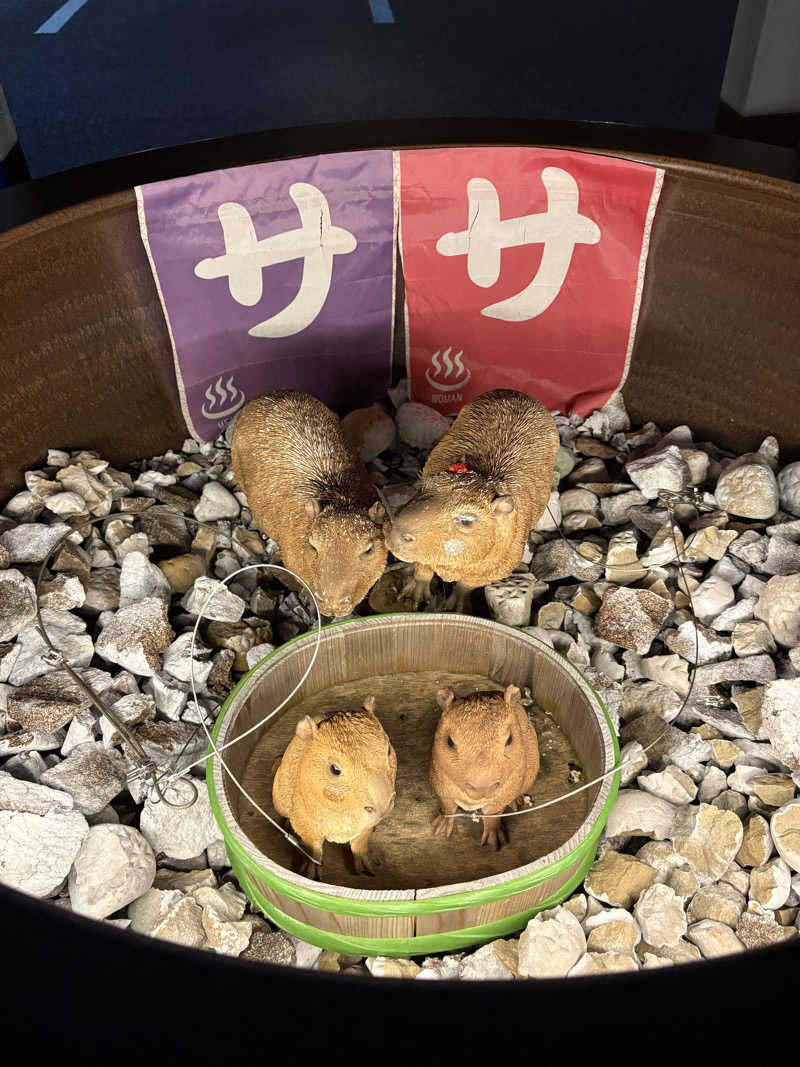 あさ43さんの富士山天然水SPA サウナ鷹の湯のサ活写真