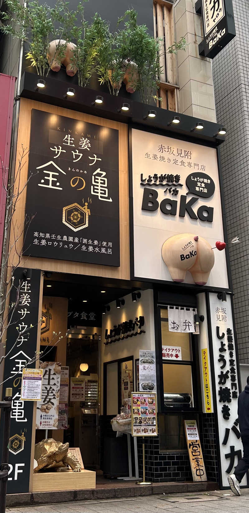 AYAさんの生姜サウナ「金の亀」のサ活写真