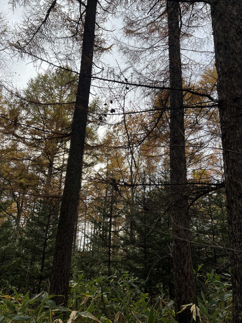 🎐🫧さんの別海町ふるさと交流館のサ活写真
