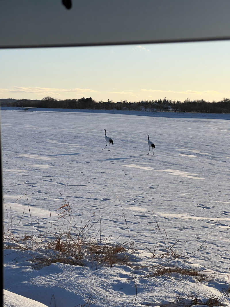 🎐🫧さんのぽん・ぽんゆのサ活写真