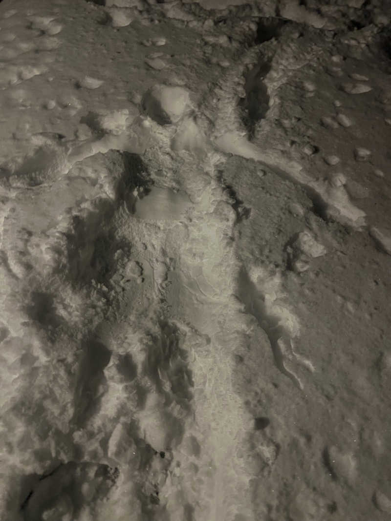 D-SAUNA1989さんのMOSS十里木キャンプリゾートのサ活写真