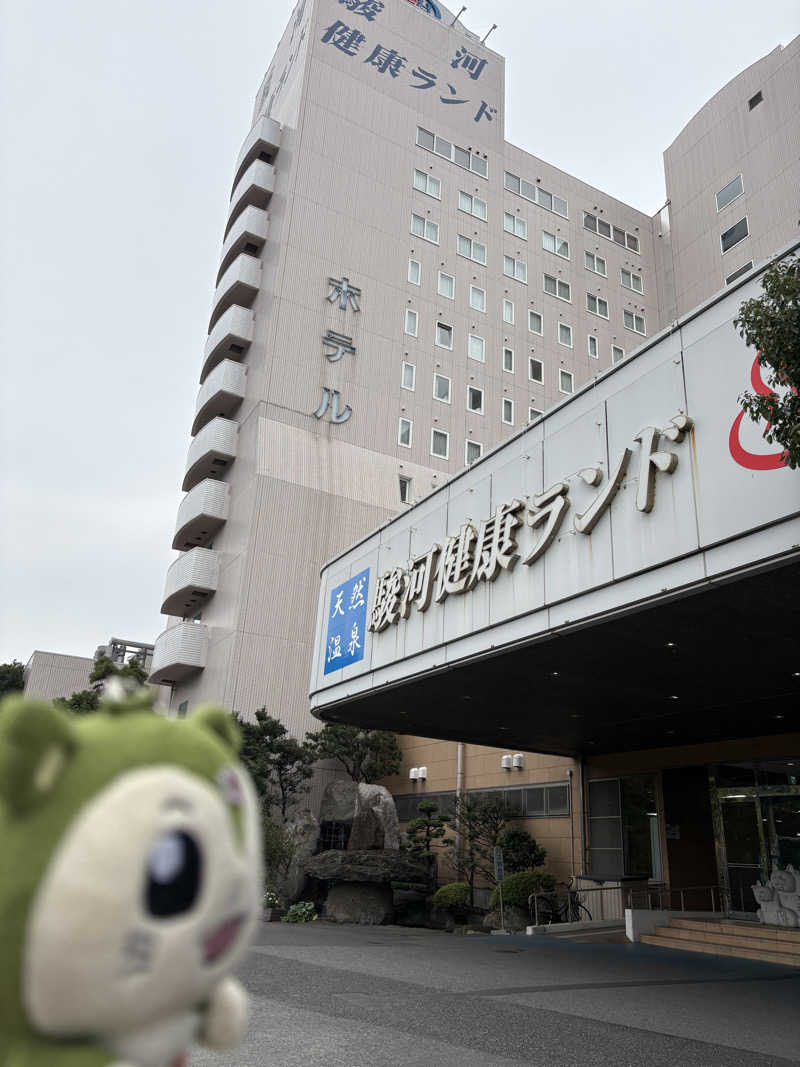 つるみんさんの駿河健康ランドのサ活写真