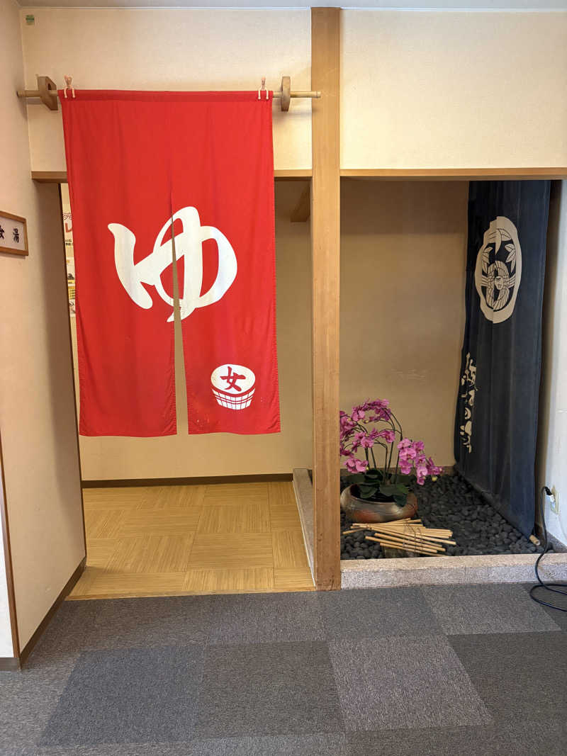 つるみんさんの駿河の湯 坂口屋のサ活写真