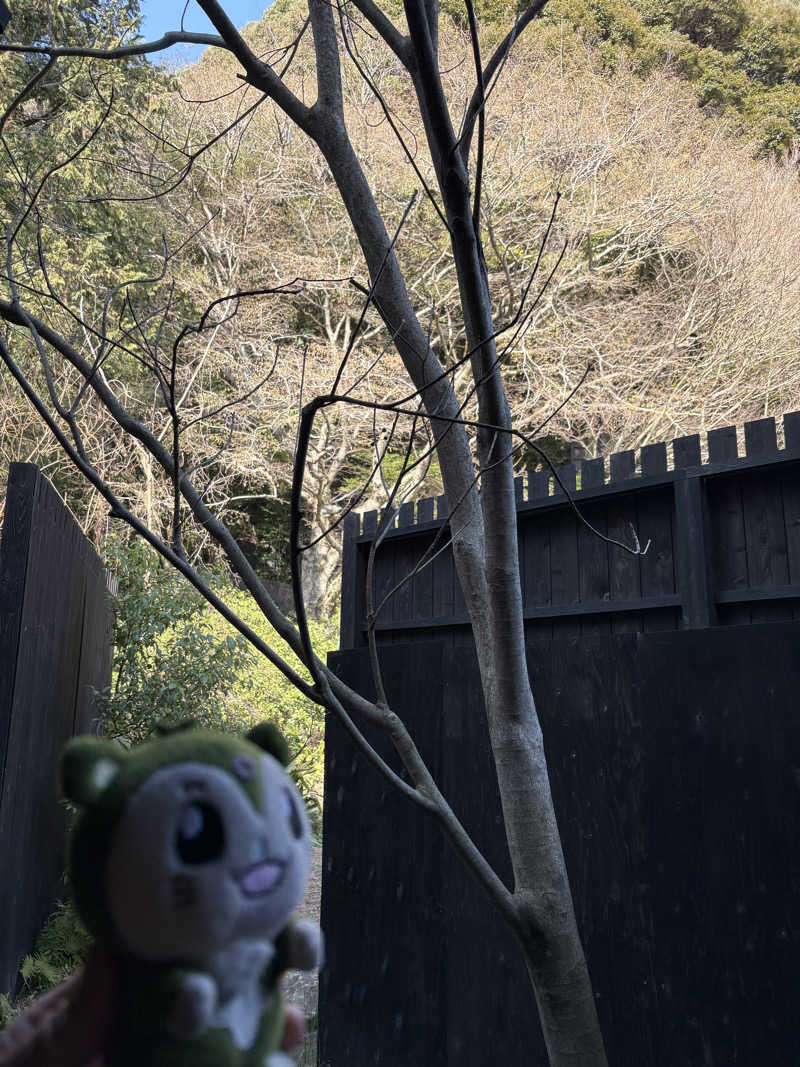 つるみんさんの御船山楽園ホテル  らかんの湯のサ活写真