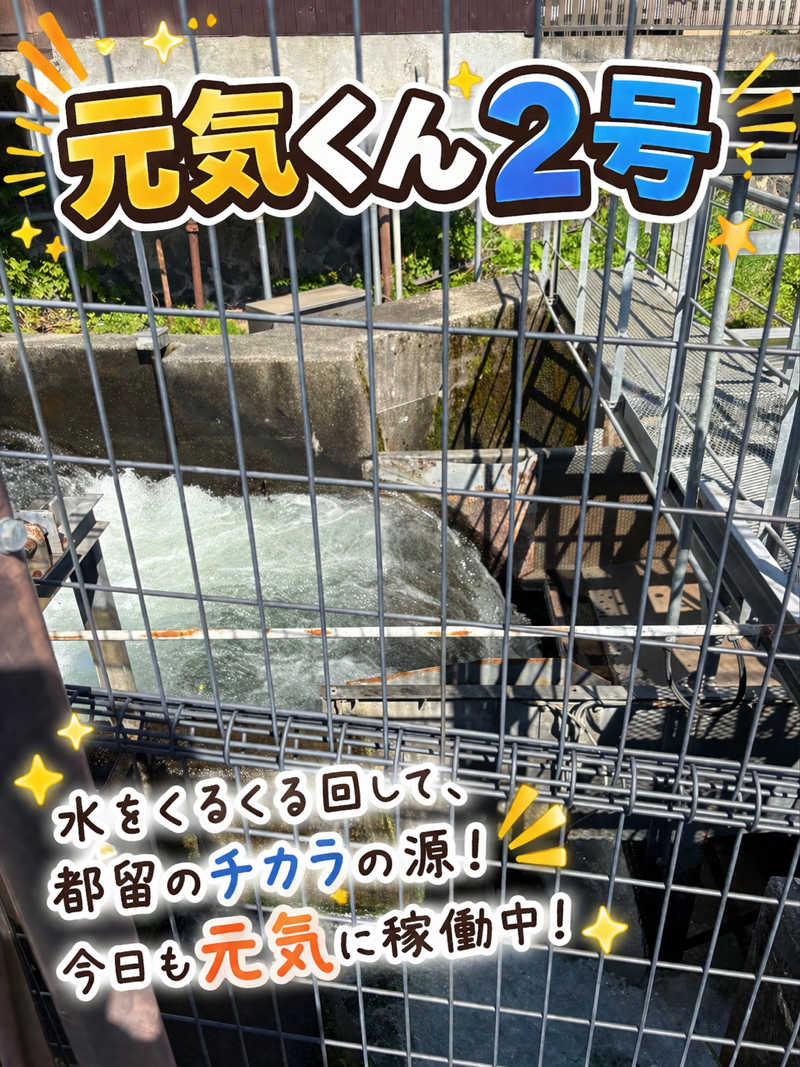 つるみんさんの泰安温泉(銭湯)のサ活写真