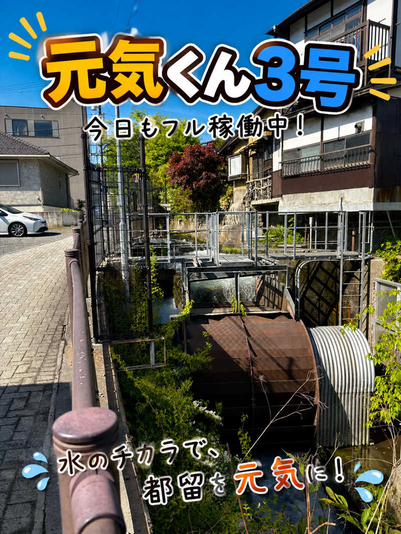 つるみんさんの泰安温泉(銭湯)のサ活写真
