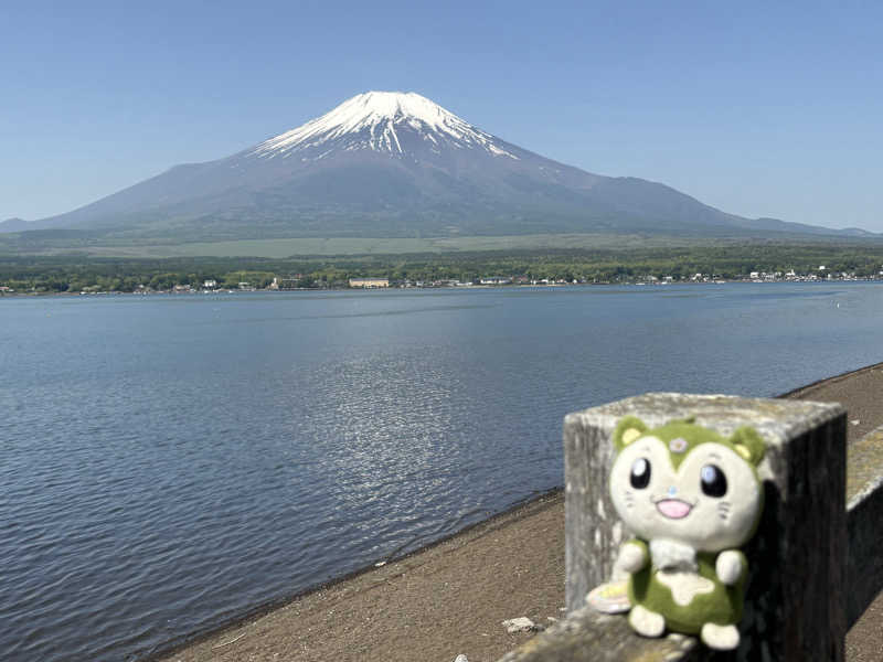 つるみんさんの富士眺望の湯 ゆらりのサ活写真