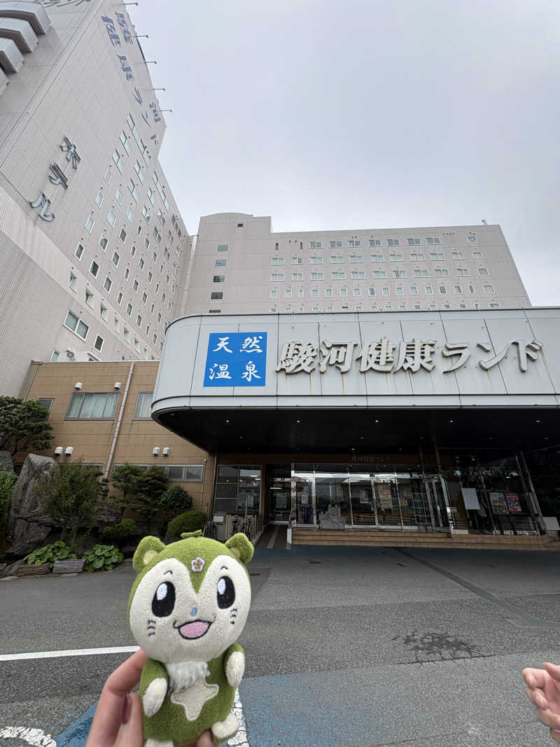 つるみんさんの駿河健康ランドのサ活写真