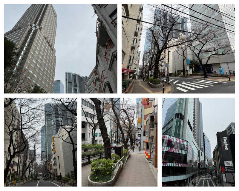 Manabu ("マナブ"でもOK)さんの渋谷SAUNASのサ活写真