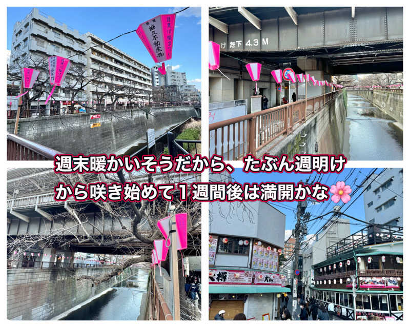 Manabu ("マナブ"でもOK)さんの光明泉のサ活写真