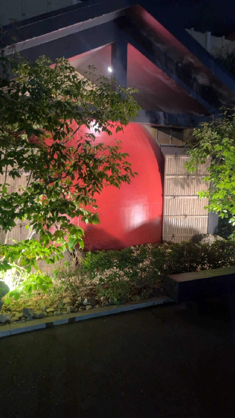 山崎さんの上方温泉 一休のサ活写真
