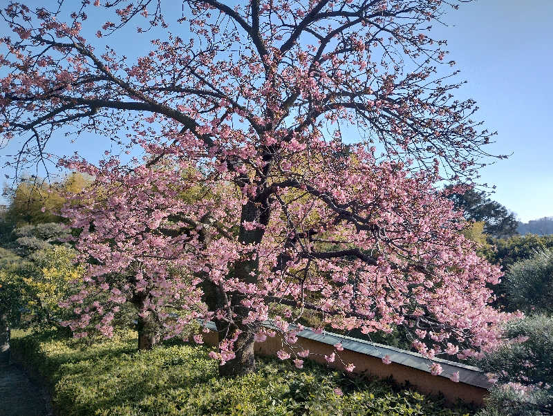 t****yさんの青山やまとのサ活写真