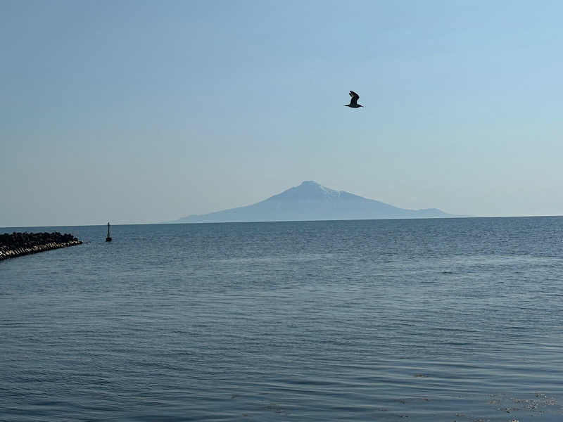 s_shin21さんの稚内温泉 童夢のサ活写真