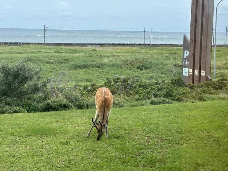 s_shin21さんの稚内温泉 童夢のサ活写真