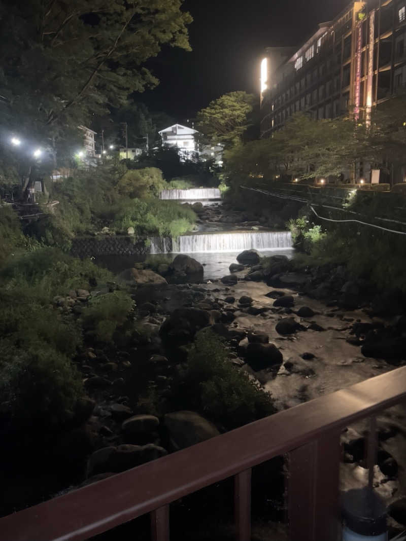 黒いサウナハットタロー@川崎さんの箱根湯本温泉 天成園のサ活写真