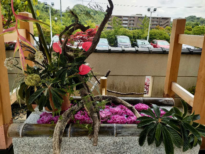 いとさんの天光の湯のサ活写真