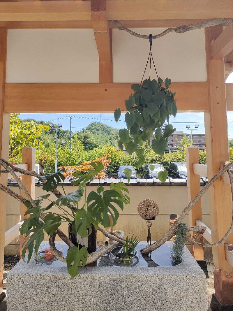 いとさんの天光の湯のサ活写真