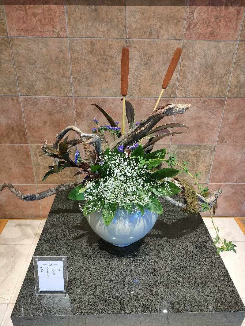 いとさんの天光の湯のサ活写真