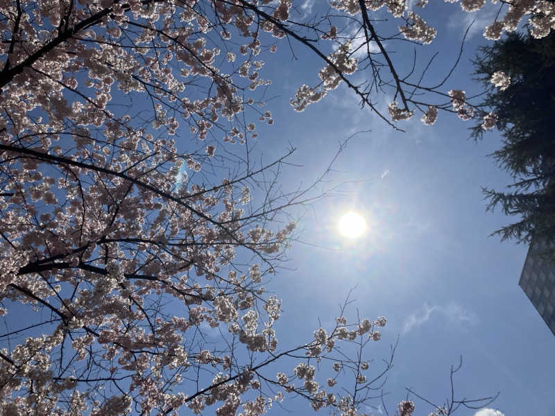 けんいちさんの愛子天空の湯 そよぎの杜のサ活写真