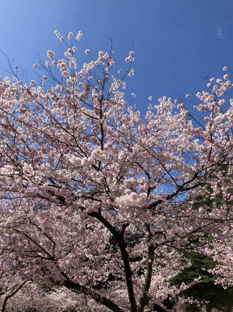 けんいちさんの愛子天空の湯 そよぎの杜のサ活写真