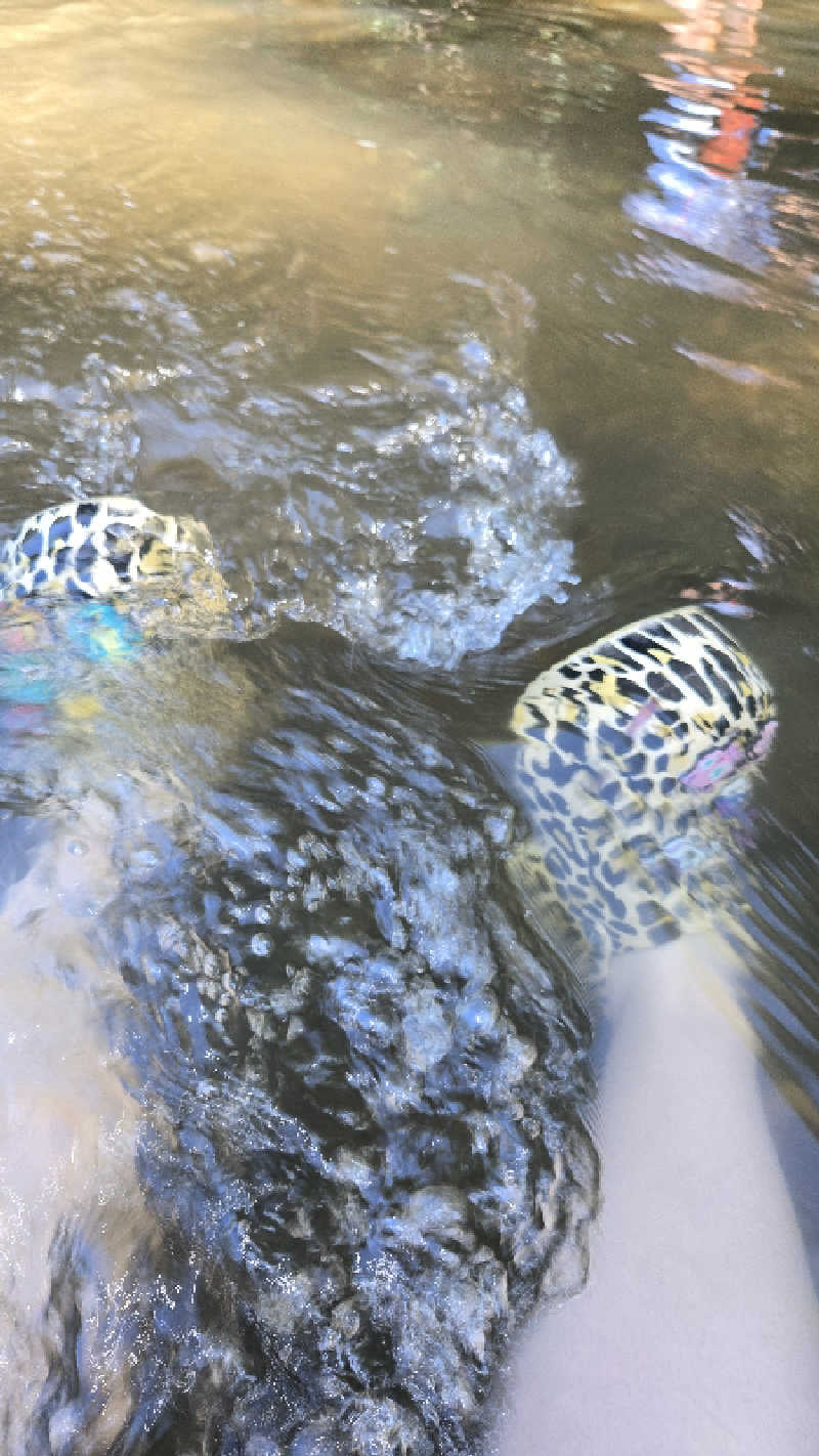 あたおか⦿⃤🌈さんのさやみじゅテントサウナイベントのサ活写真