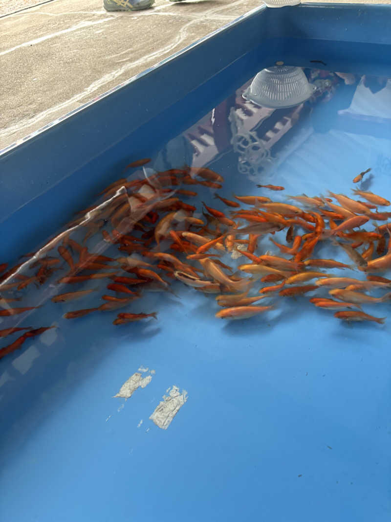 うなぎ犬さんのフタバ湯のサ活写真