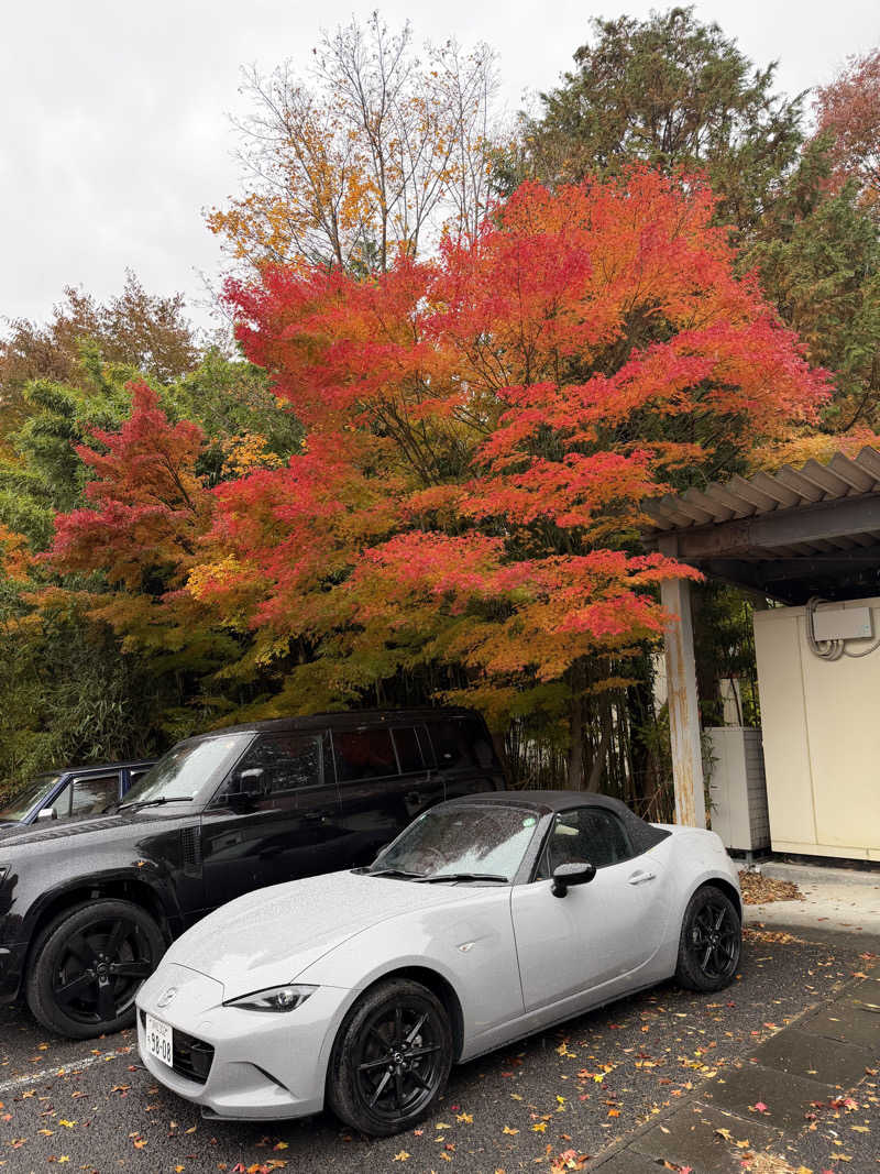 ばんさんの富士西湖温泉 いずみの湯のサ活写真