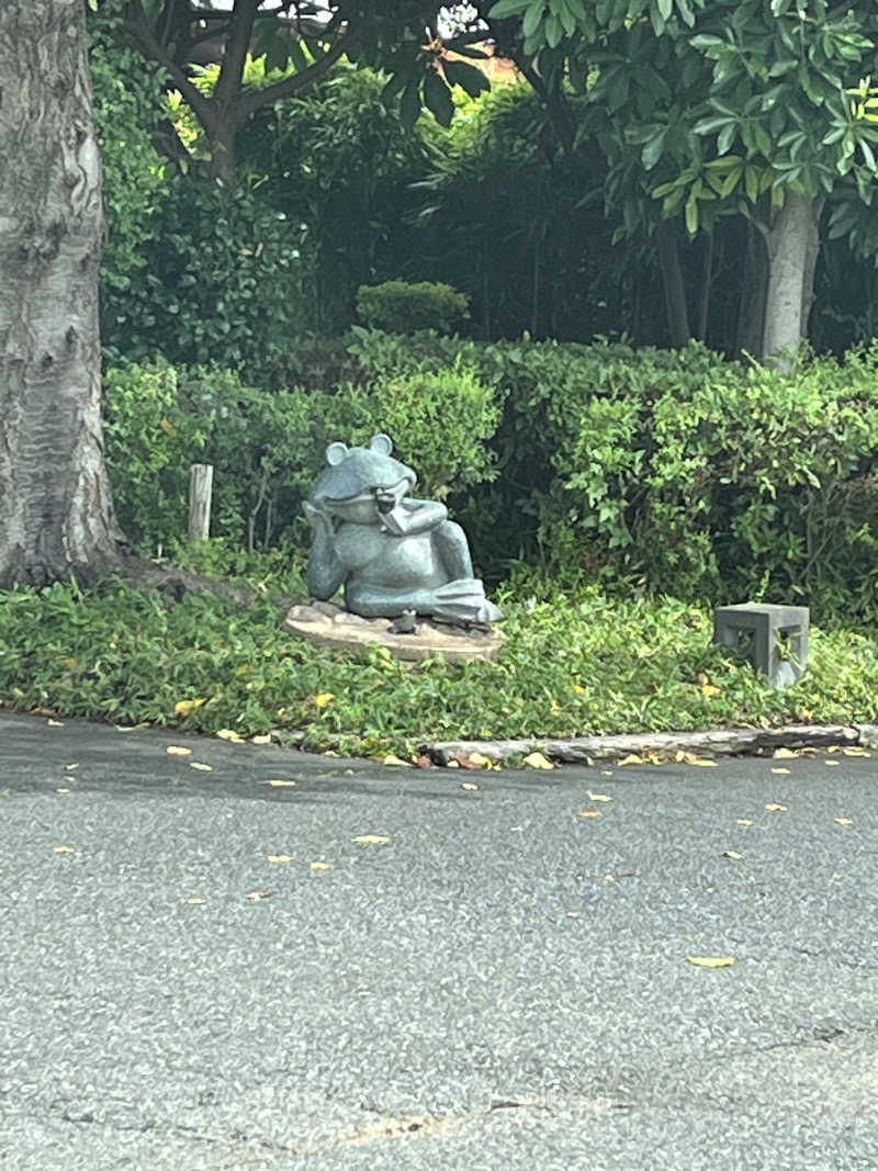 さなえちんさんの天然温泉 真名井の湯 大井店のサ活写真