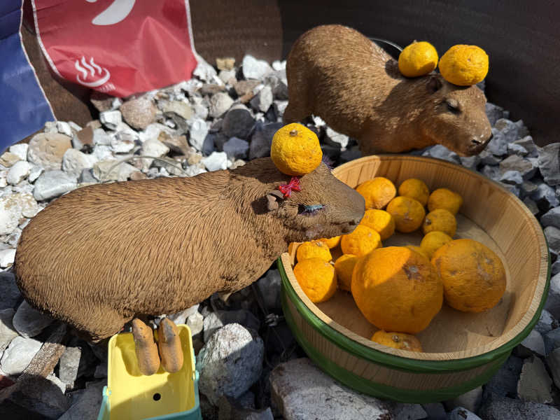 T.Jさんの富士山天然水SPA サウナ鷹の湯のサ活写真